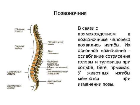 Ослабление связи с ржавчиной