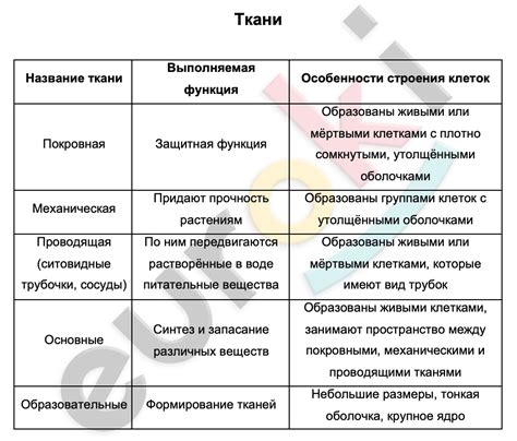 Основные виды эзги и их назначение