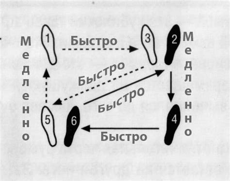 Основные движения и шаги