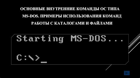 Основные команды для работы с каталогами