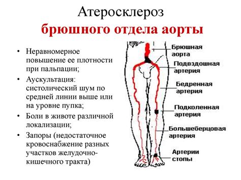 Основные методы проверки состояния брюшной аорты