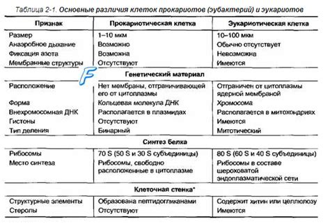 Основные отличия между "предлагаю" и "предлагаю"