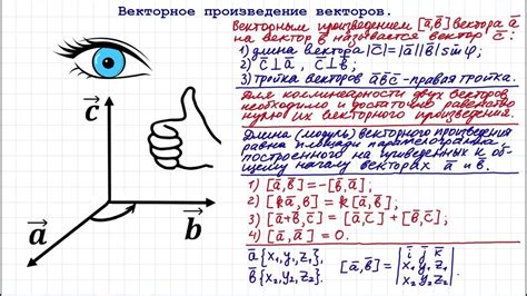 Основные понятия векторов