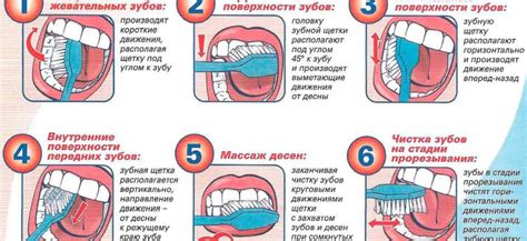 Основные правила чистки