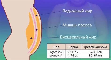 Основные принципы вакуума живота