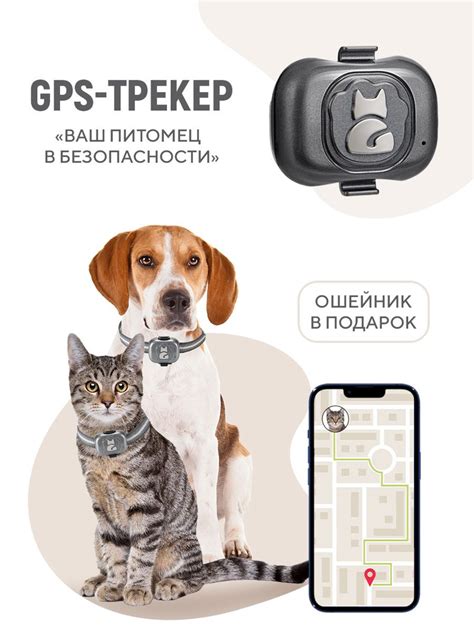 Основные принципы работы GPS трекера для кошек