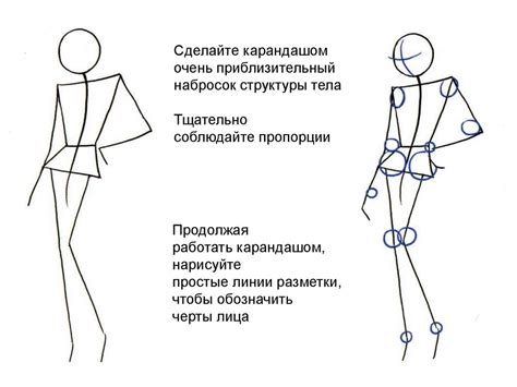 Основные принципы рисования худого тела