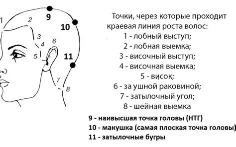 Основные принципы стрижки для роста волос