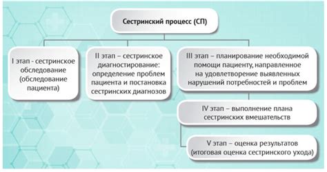 Основные принципы ухода за душлом