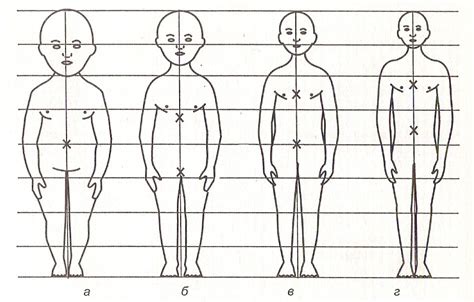 Основные пропорции фигуры ребенка