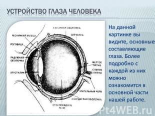 Основные составляющие окклюдера для глаза