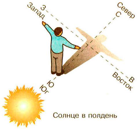 Основные способы определить юг