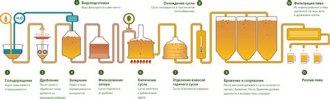 Основные этапы приготовления вымени