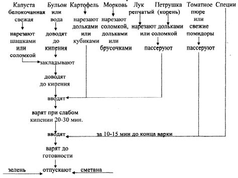 Основные этапы приготовления щей