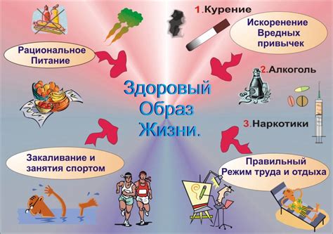 Основы гигиены и здорового образа жизни