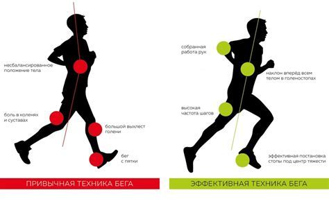 Основы движений тела