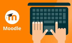 Основы использования Moodle