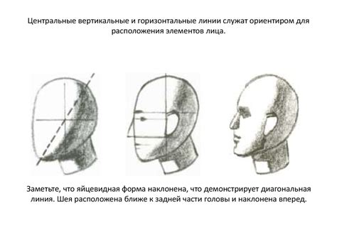 Основы композиции и расположения элементов лица