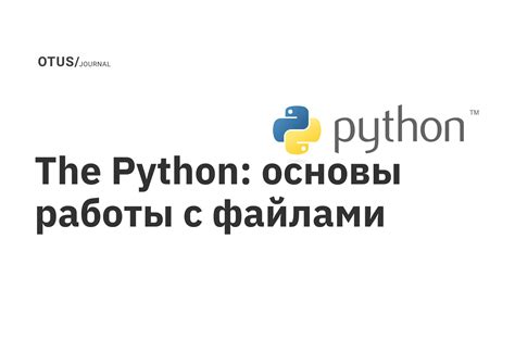 Основы работы конструктора в Python