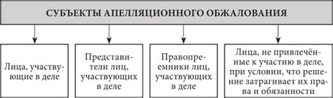 Особенности апелляционного процесса в ПТАБ