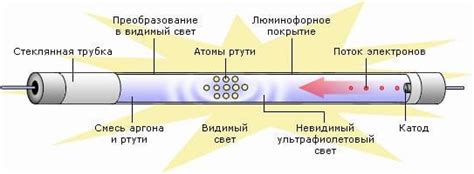 Особенности конструкции люминесцентной лампы