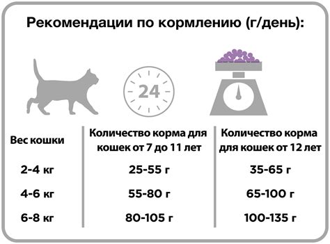 Особенности кормления кошек с определенными заболеваниями