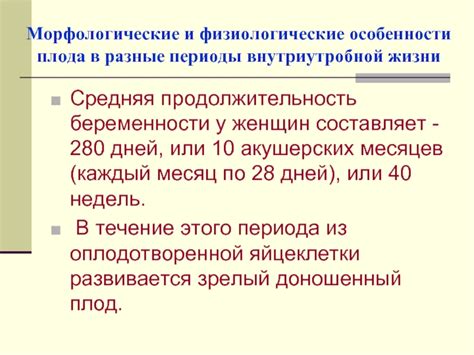 Особенности определения эмбрионального возраста плода в разные периоды беременности