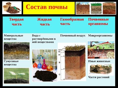 Особенности рыхлой почвы