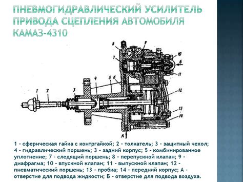 Особенности сцепления КамАЗ 4310