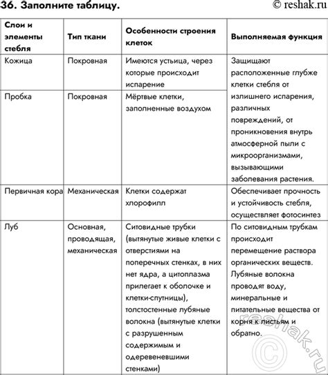 Особенности формирования мема