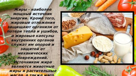 Остатки пищи и жировые отложения