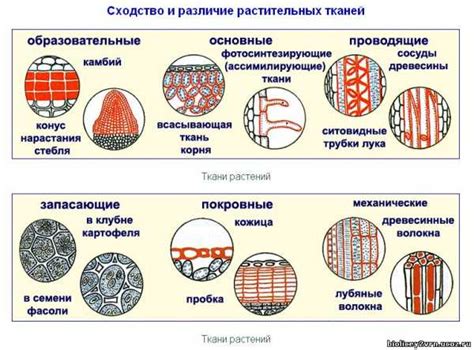 Остерегайтесь повреждений ткани