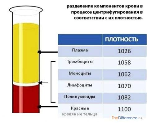 Отвод использованной крови