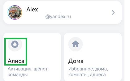Откройте настройки Алисы в приложении