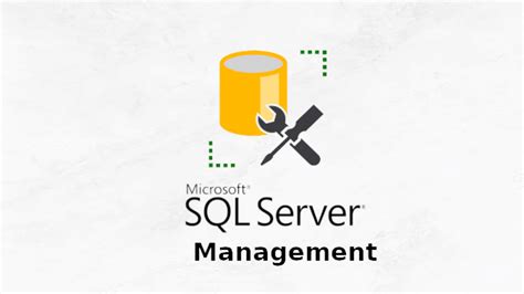 Откройте SQL Server Management Studio