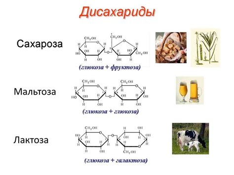 Отличия сахарозы и глюкозы