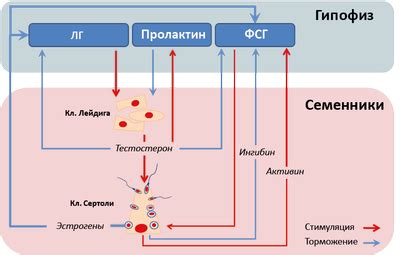 Отмена действия и восстановление дуги