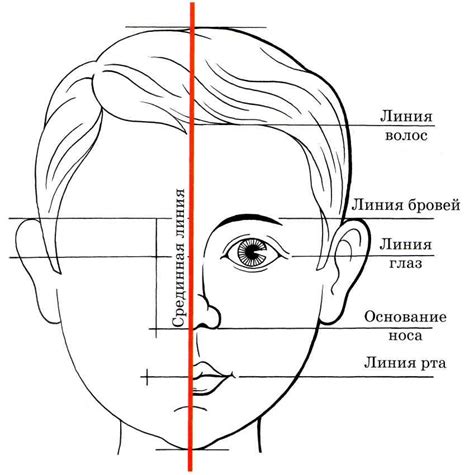 Отметьте положение глаз, носа и ушей