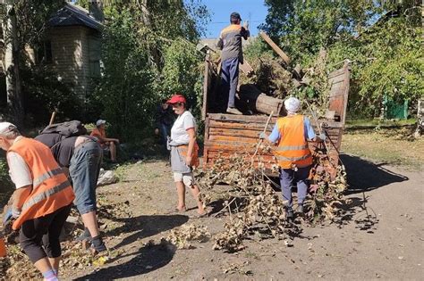 Отображение листвы и веток