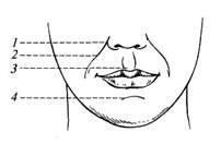 Отображение носа и рта