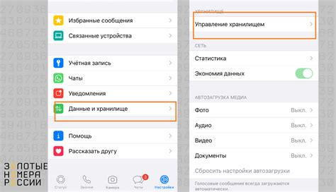 Очистить кэш WhatsApp на iPhone