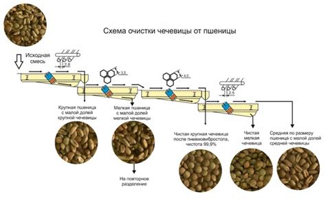 Очистка и сепарация компонентов