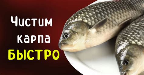 Очистка орехов с помощью кипятка