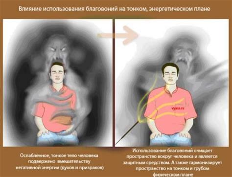 Очищение с помощью воздуха: благотворное влияние фитоаптерапии