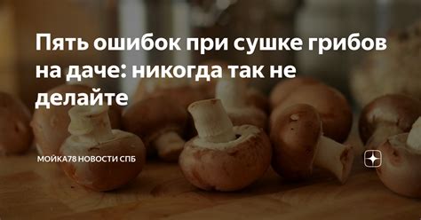 Ошибки, которые нужно избегать при сушке грибов