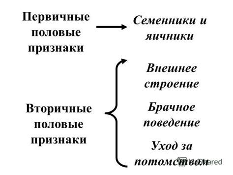 Первичные признаки