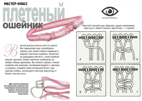 Первые шаги по изготовлению ошейника