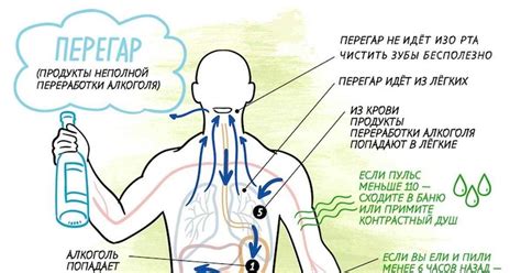 Перегар: причины возникновения