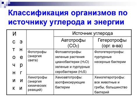 Передача энергии в живых организмах