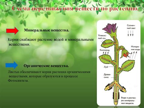 Передвижение как основа